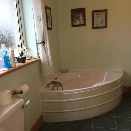 Carrick House 3* קיליבגס