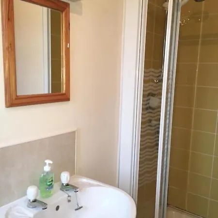 Carrick House Bed and Breakfast 3*