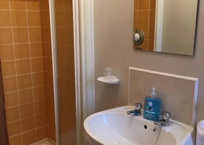 Carrick House Bed & Breakfast 3*